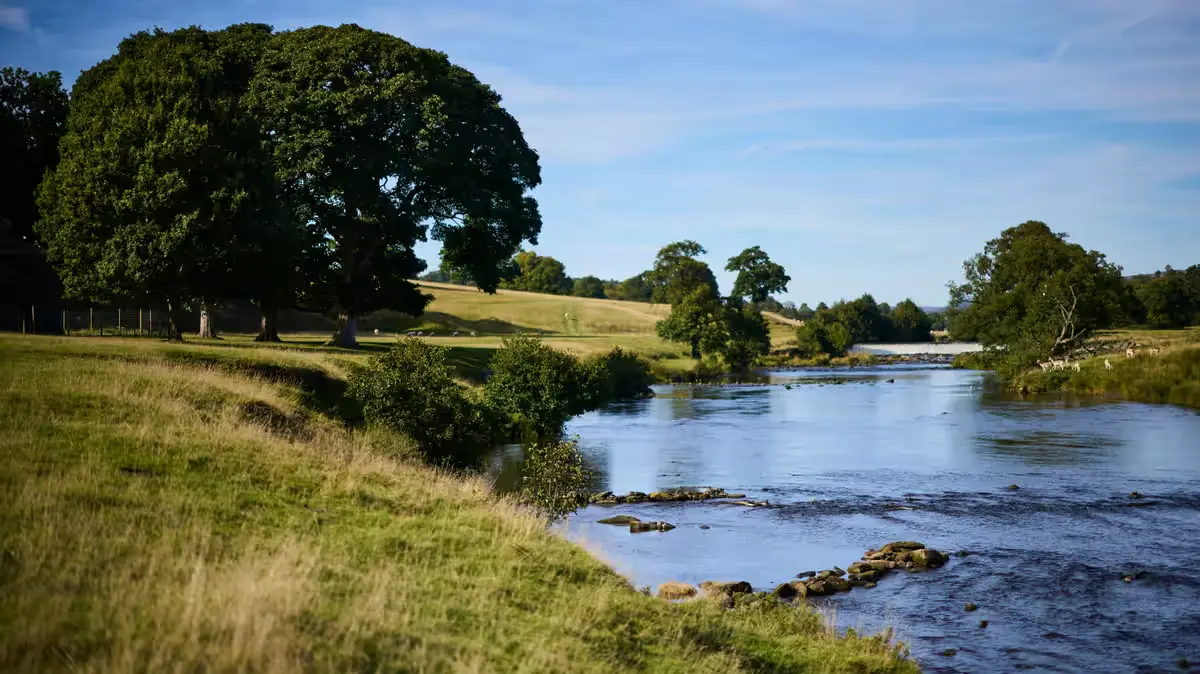 Streams of medicines: what’s hiding in the UK’s waterways? – podcast